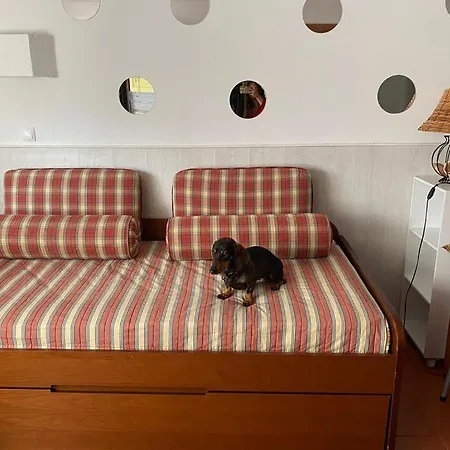 T1 Condominio Privado Em Montechoro Appartement Albufeira